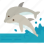 dolphins, animal, marine, mammals, wildlif 