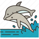 dolphins, animal, marine, mammals, wildlif