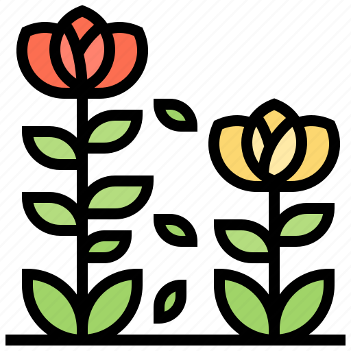 Blossom, flowers, season, spring, summer icon - Download on Iconfinder