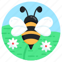 bee, insect, specie, bumblebee, bombus