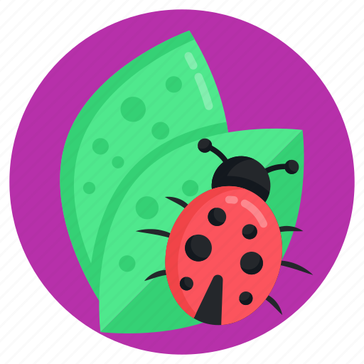 Agriculture bug, crop bug, crop pest, crop insect, crop beetle icon - Download on Iconfinder