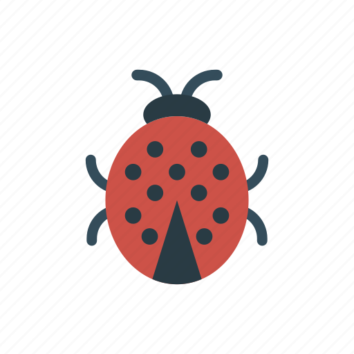 Bug, insect, malware, virus icon - Download on Iconfinder
