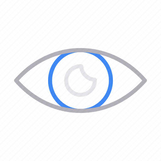 Eye, eyeball, look, seen, view icon - Download on Iconfinder