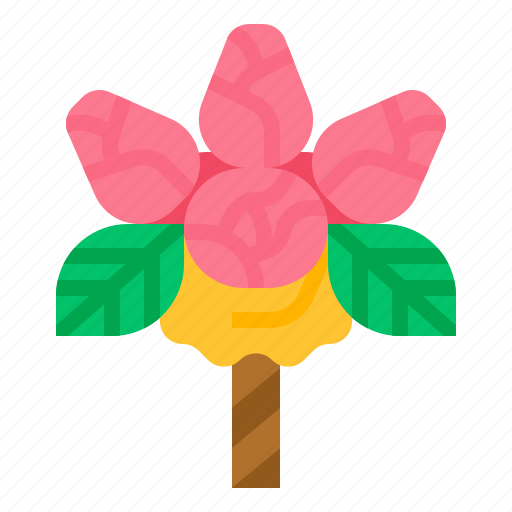 Bouquet, congratulation, flower, rose icon - Download on Iconfinder