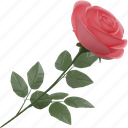 rose, pink, flora, flower, valentine, love, illustration, nature, romantic 