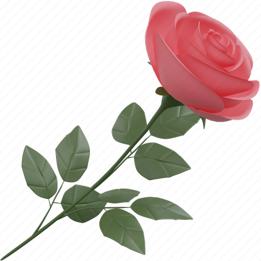 Rose, pink, flora, flower, valentine, love, illustration 3D illustration - Download on Iconfinder