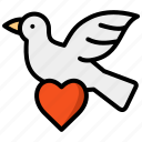 wedding, dove, romance, bird, love, pigeon