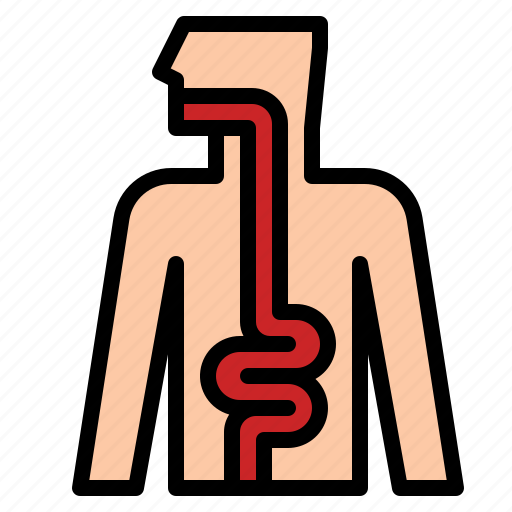 Intestine, colon, large, medical, appendix icon - Download on Iconfinder