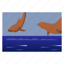 whale, fish, animal, sealife, aquatic