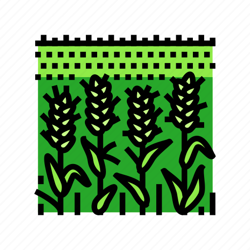 Field, green, plants, wheat, grain, bread icon - Download on Iconfinder