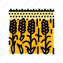 field, yellow, ripe, wheat, grain, bread