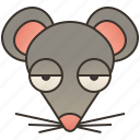mice, mouse, pest, rat, rodent