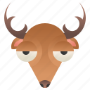 antler, deer, grazing, hunt, stag