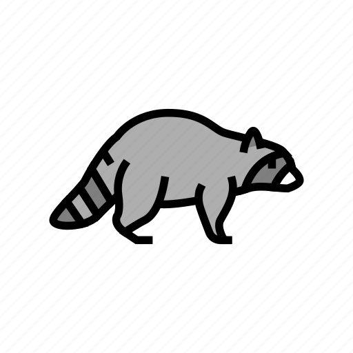 Raccoon, wild, animal, animals, bugs, birds icon - Download on Iconfinder