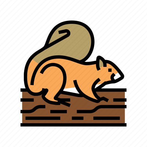 Squirrel, wild, animal, animals, bugs, birds icon - Download on Iconfinder
