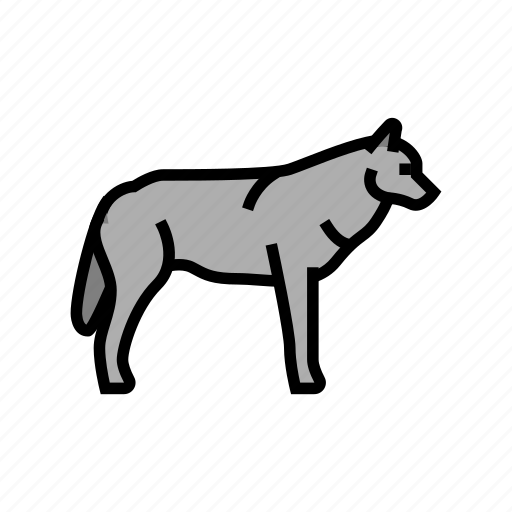 Wolf, wild, animal, animals, bugs, birds icon - Download on Iconfinder
