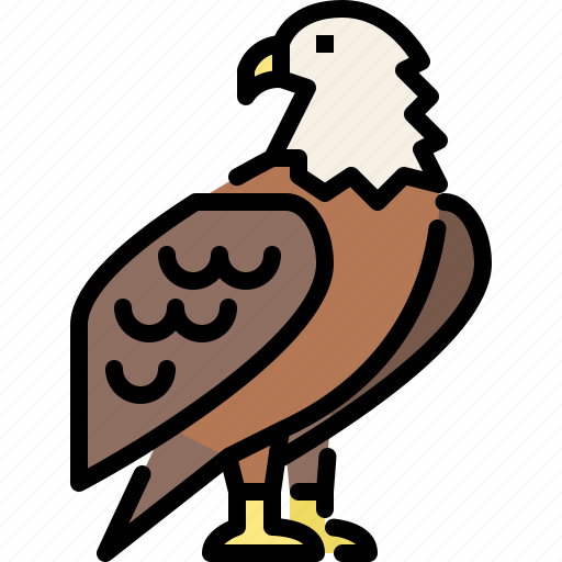 Animal, eagle, jungle, nature, wildlife, zoo icon - Download on Iconfinder