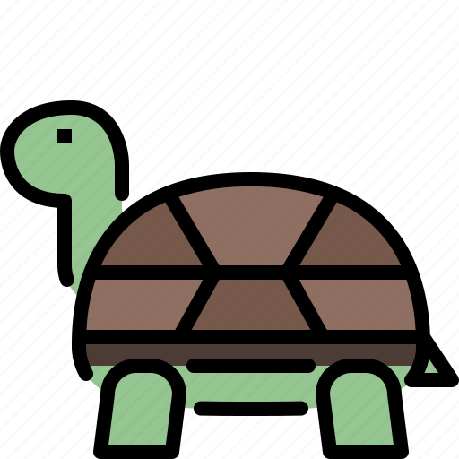 Animal, jungle, nature, turtle, wildlife, zoo icon - Download on Iconfinder