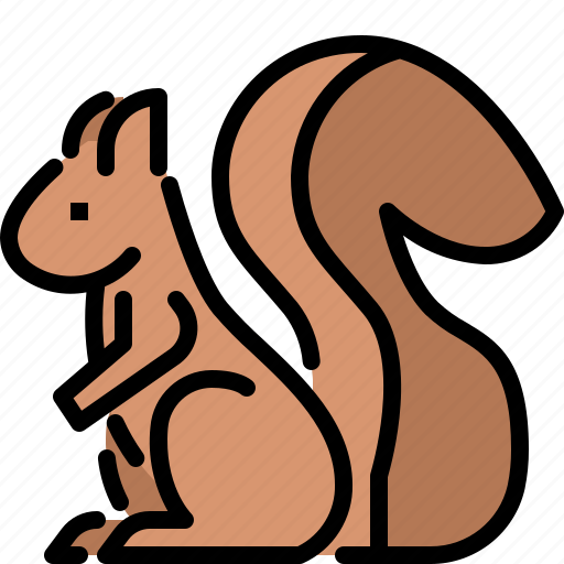 Animal, jungle, nature, squirrel, wildlife, zoo icon - Download on Iconfinder