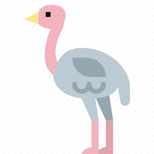 Animal, jungle, nature, ostrich, wildlife, zoo icon - Download on Iconfinder