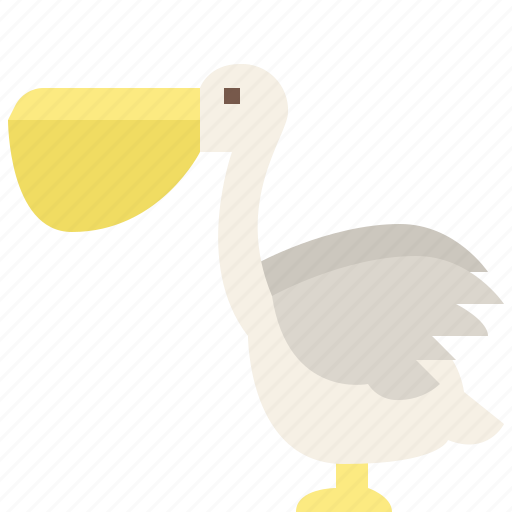 Animal, jungle, nature, pelican, wildlife, zoo icon - Download on Iconfinder