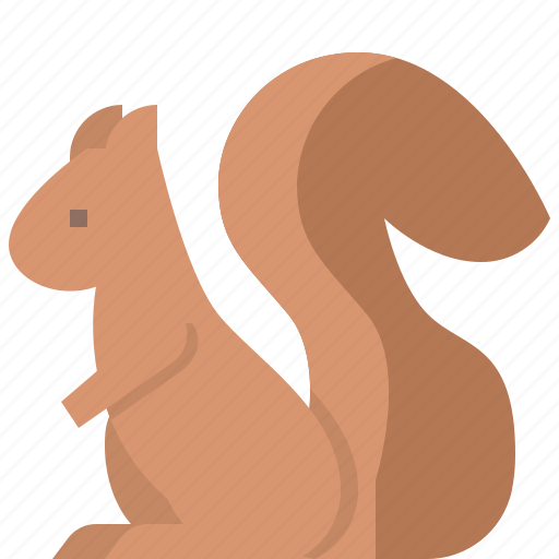 Animal, jungle, nature, squirrel, wildlife, zoo icon - Download on Iconfinder