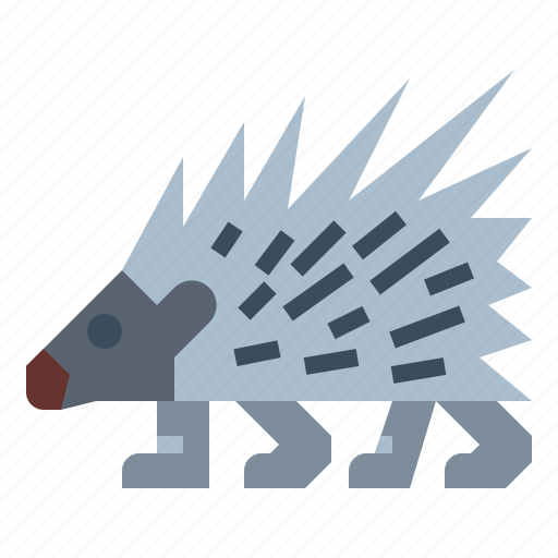 Animal, porcupine, wildlife, zoo icon - Download on Iconfinder