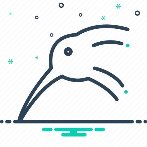 Bird, kiwi, okarito icon - Download on Iconfinder