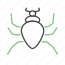 danger, halloween, insect, poison, spider, toxic