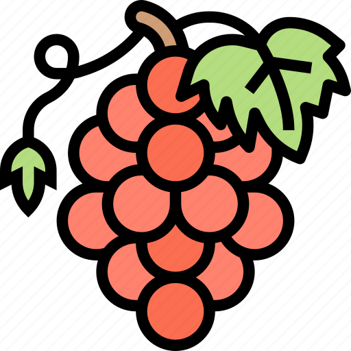 Grapes, fruit, bunch, ripe, wine icon - Download on Iconfinder