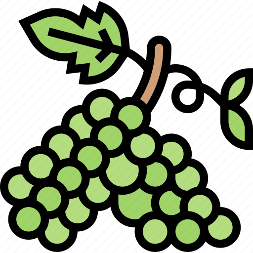 Grapes, fruit, bunch, vine, juice icon - Download on Iconfinder