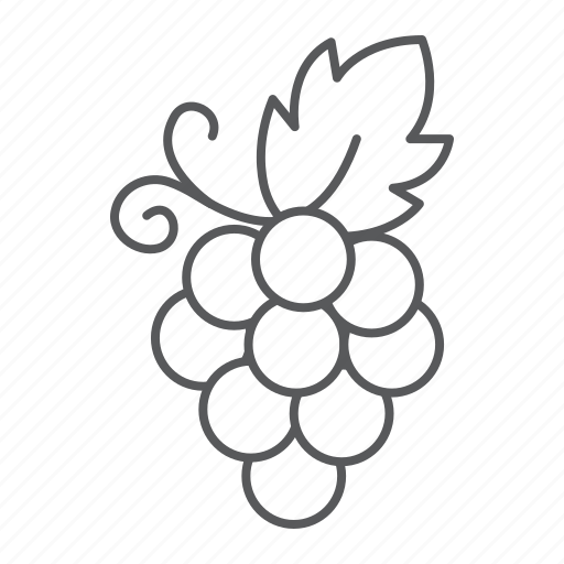 Grape, food, wine, vine, grapevine, vineyard, fruit icon - Download on Iconfinder