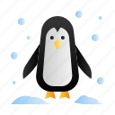 penguin, animal, winter, snow