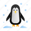 penguin, animal, winter, snow 