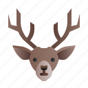reindeer, animal, winter, deer