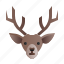reindeer, animal, winter, deer 