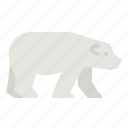 bear, polar, xmas, winter, animal