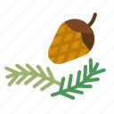 pine, cone, nut, nature, tree