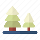 pine, tree, snow, winter, season, cold, holiday
