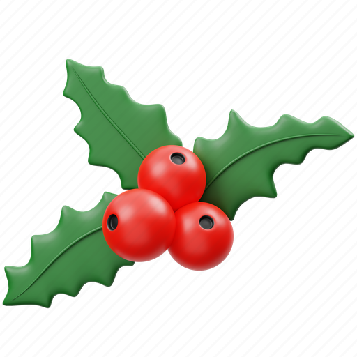Mistletoe, winter, christmas, xmas, 3d rendering, decoration, ornament 3D illustration - Download on Iconfinder