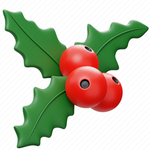 Mistletoe, winter, christmas, xmas, decoration, ornament, holiday 3D illustration - Download on Iconfinder