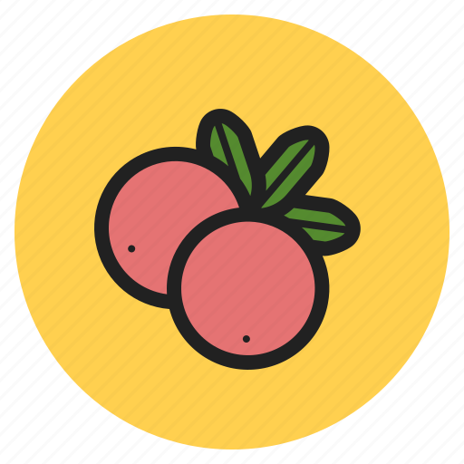 Winter, vegetables, fruits, berry, cranberry icon - Download on Iconfinder