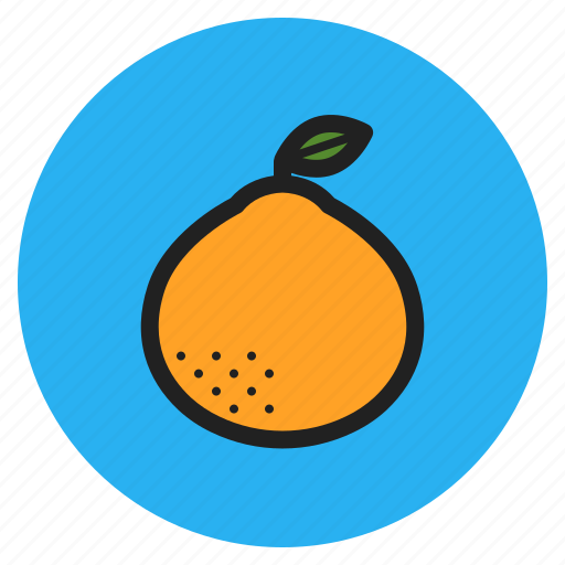 Winter, vegetables, fruits, bloodorange, orange, citrus icon - Download on Iconfinder