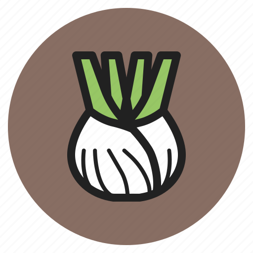 Winter, vegetables, fruits, fennel, carrots, herb icon - Download on Iconfinder