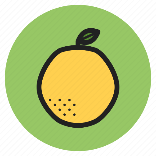 Winter, vegetables, fruits, grapefruits, orange, citrus icon - Download on Iconfinder