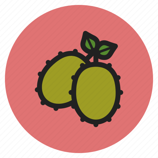 Winter, vegetables, fruits, kiwi, kiwifruits, berry icon - Download on Iconfinder