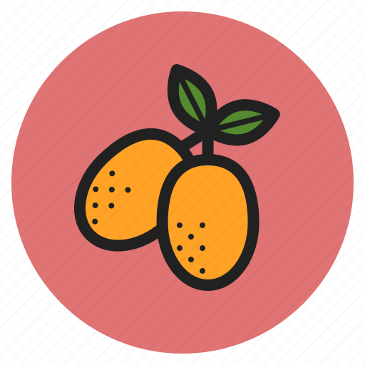 Winter, vegetables, fruits, kumquats, citrus, berry icon - Download on Iconfinder