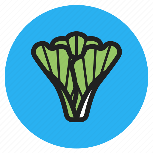 Winter, vegetables, fruits, leaf, lettuce, green icon - Download on Iconfinder
