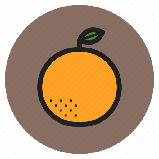 Winter, vegetables, fruits, orange, oranges, citrus icon - Download on Iconfinder
