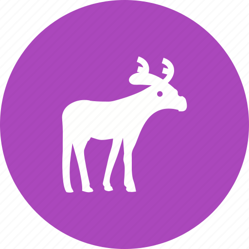 Animal, decoration, deer, hornes, moose, reindeer, winter icon - Download on Iconfinder